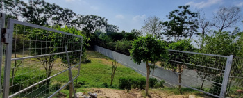  Residential Plot for Sale in Dera Mandi, Delhi