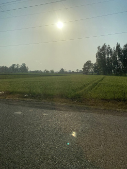  Agricultural Land for Sale in New Chandigarh, 