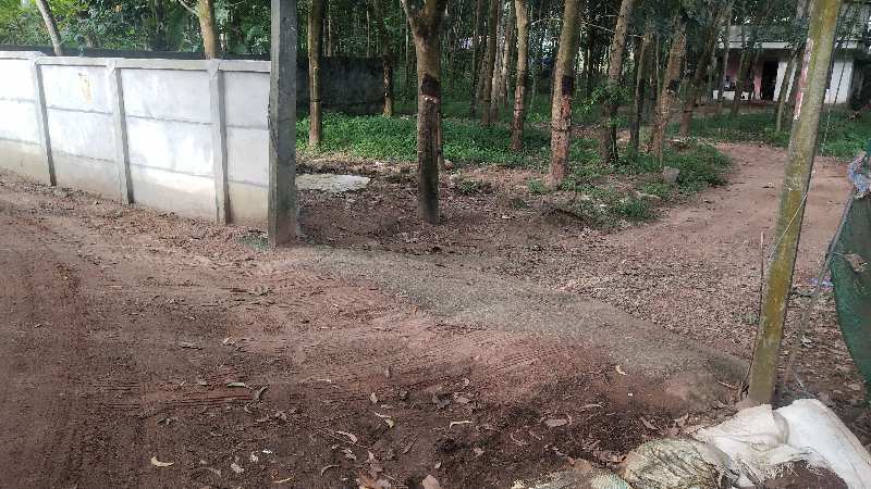  Residential Plot 18 Cent for Sale in Kalluvathukkal Kollam