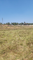  Agricultural Land for Sale in Sakleshpur, Hassan