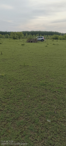  Residential Plot 120000 Sq.ft. for Sale in Mailam, Villupuram