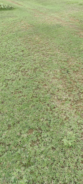  Residential Plot 120000 Sq.ft. for Sale in Mailam, Villupuram