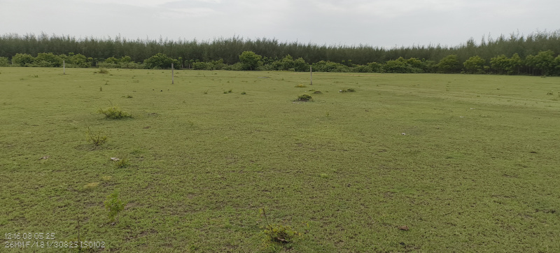  Residential Plot 120000 Sq.ft. for Sale in Mailam, Villupuram