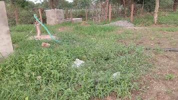  Agricultural Land for Rent in Nimbahera, Chittaurgarh