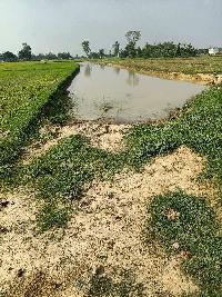  Agricultural Land for Sale in Itwa, Siddharthnagar