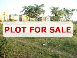  Residential Plot for Sale in Sector 21c Faridabad
