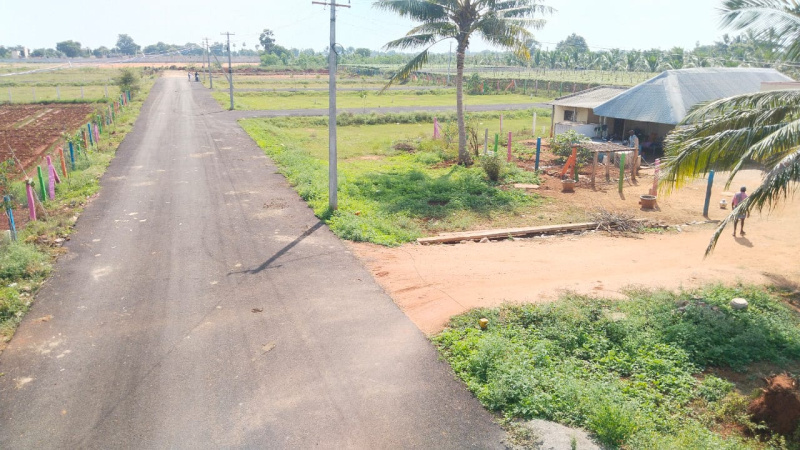  Residential Plot 1800 Sq.ft. for Sale in Aarchampatti, Tiruchirappalli