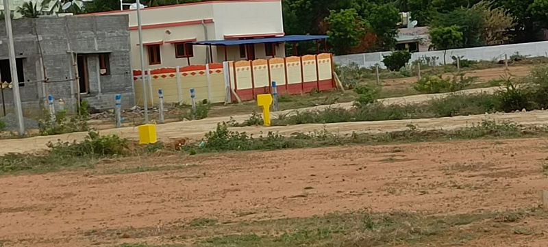  Residential Plot 1415 Sq.ft. for Sale in Panjapur, Tiruchirappalli