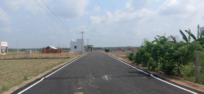  Residential Plot 1200 Sq.ft. for Sale in Adavathur East, Tiruchirappalli