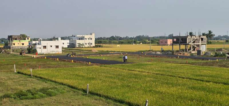  Residential Plot 1200 Sq.ft. for Sale in Allithurai, Tiruchirappalli