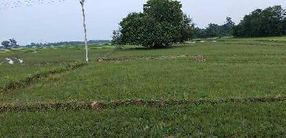  Agricultural Land for Sale in Ondagram, Bankura