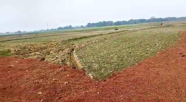  Residential Plot 1742 Sq.ft. for Sale in Daladili, Ranchi