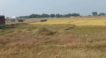  Commercial Land for Sale in Bit-Vikas Ring Road, Ranchi