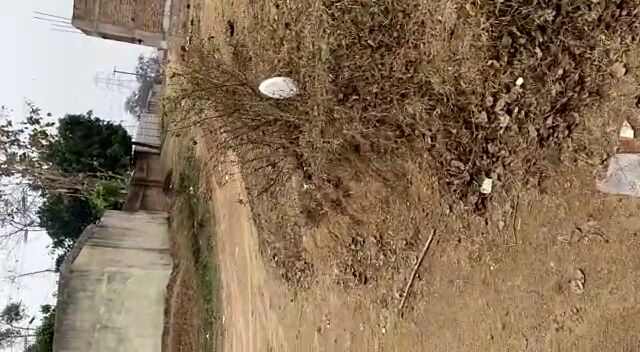  Residential Plot 2178 Sq.ft. for Sale in Pandra, Ranchi