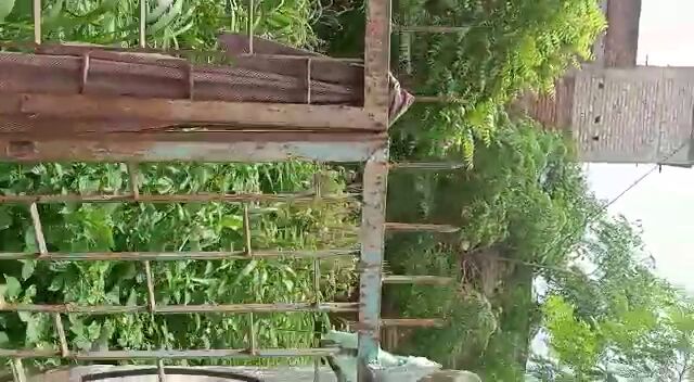  Residential Plot 2178 Sq.ft. for Sale in Piska More, Ranchi