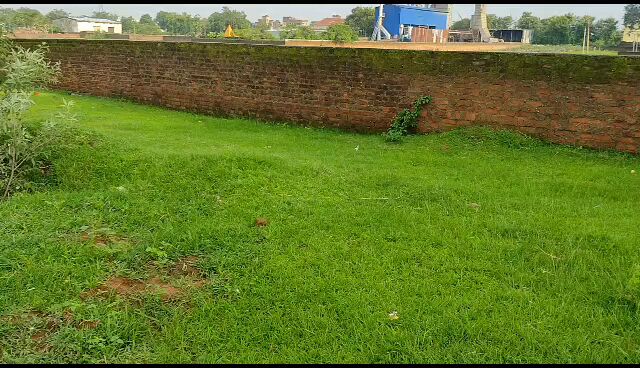  Residential Plot 2048 Sq.ft. for Sale in Ratu, Ranchi