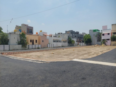  Residential Plot 1200 Sq. Yards for Sale in Chataparru, Eluru