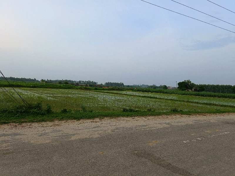 industrial land for sale in shahzadpur, ambala