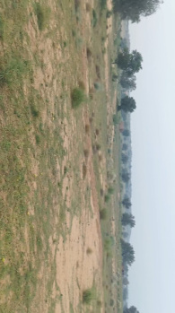  Agricultural Land for Sale in Suratgarh, Ganganagar