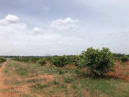  Agricultural Land for Rent in Chintamani, ChikBallapur