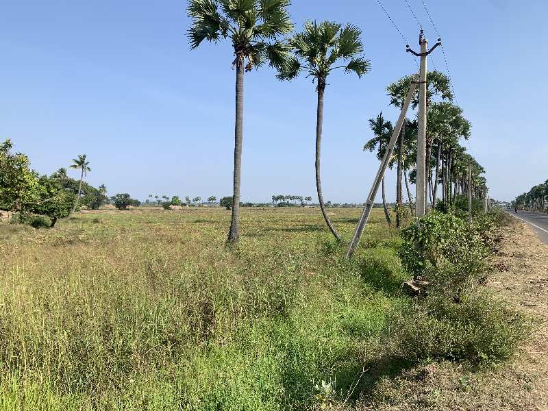 Agricultural Land 7 Acre for Sale in Gudlavalleru, Krishna