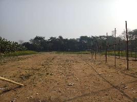  Agricultural Land for Sale in Chakdaha, Nadia