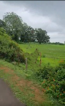  Agricultural Land for Sale in Civil Line, Sagar