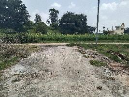  Residential Plot for Sale in Anekal Road, Bangalore