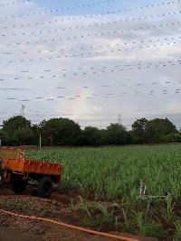  Agricultural Land for Rent in Indi, Bijapur