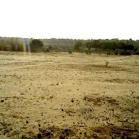 Agricultural Land for Sale in Kumbhalgarh, Rajsamand