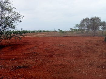  Residential Plot for Sale in Iluppur, Pudukkottai