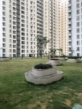 2 BHK Flat for Rent in Punawale, Pune