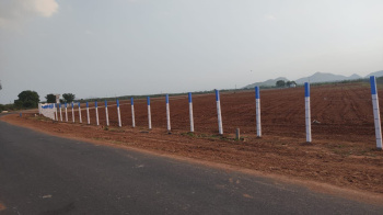  Agricultural Land for Sale in Donakonda, Prakasam