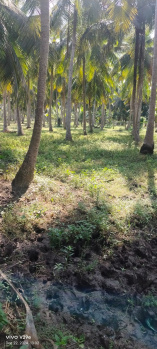  Agricultural Land for Sale in Amalapuram, East Godavari