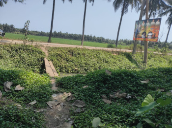  Residential Plot for Sale in Mummidivaram, East Godavari