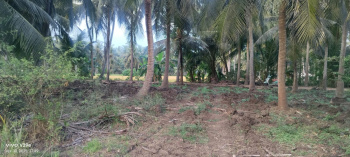  Agricultural Land for Sale in Mummidivaram, East Godavari
