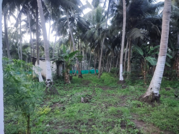  Agricultural Land for Sale in Mummidivaram, East Godavari