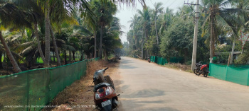  Agricultural Land for Sale in Amalapuram, East Godavari