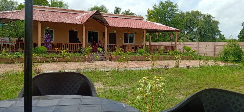  Agricultural Land 3200 Sq. Yards for Sale in Khadia, Ahmedabad