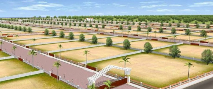  12 Bigha Agricultural/Farm Land for Sale in Dholera, Ahmedabad