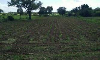  Agricultural Land for Sale in Gudur, Nellore