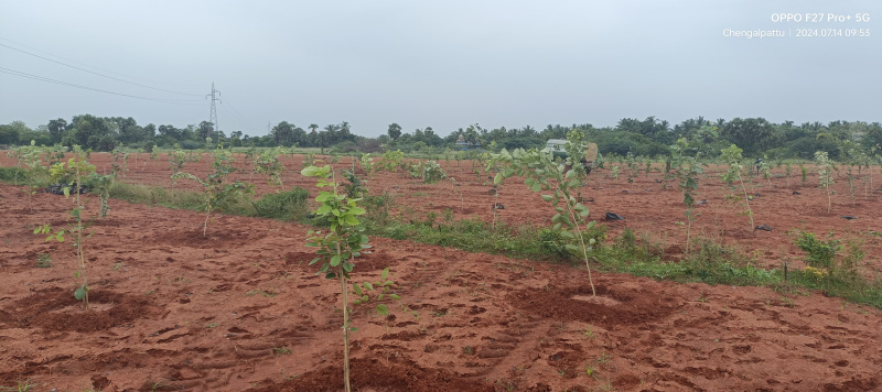  Agricultural Land 10000 Sq.ft. for Sale in Ecr To Marakanam Road, Chennai