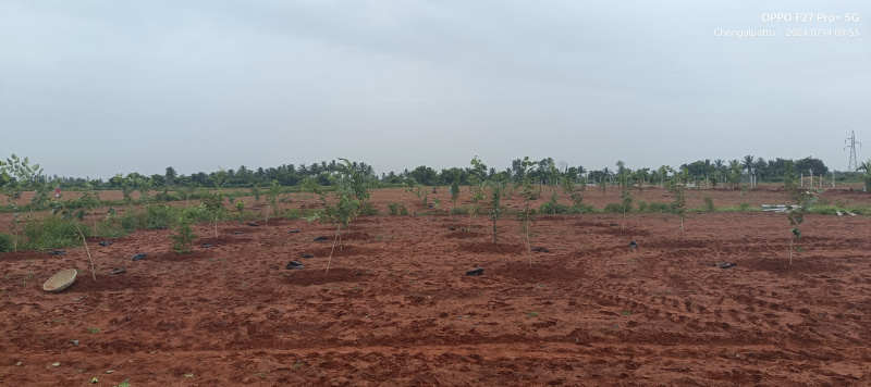  Agricultural Land 10000 Sq.ft. for Sale in Ecr To Marakanam Road, Chennai