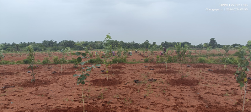  Agricultural Land 10000 Sq.ft. for Sale in Ecr To Marakanam Road, Chennai