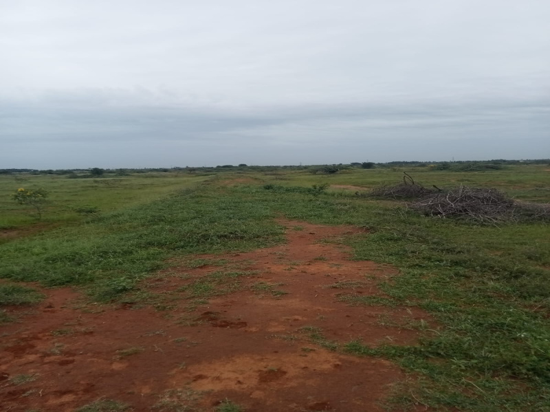  Agricultural Land 43500 Sq.ft. for Sale in Nanguneri, Tirunelveli