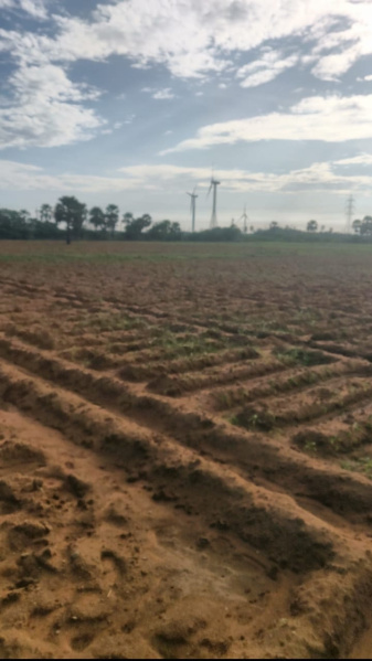  Agricultural Land 43500 Sq.ft. for Sale in Nanguneri, Tirunelveli