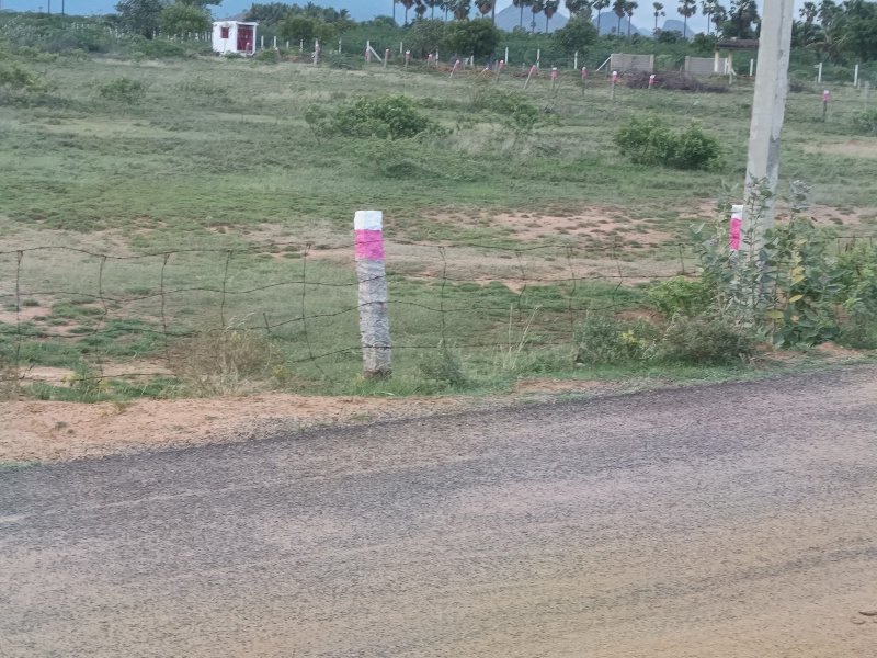  Agricultural Land 43500 Sq.ft. for Sale in Nanguneri, Tirunelveli