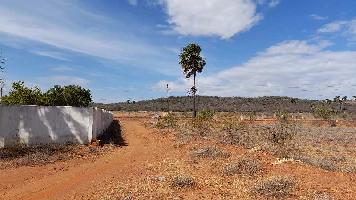  Commercial Land for Sale in Alangulam, Tirunelveli