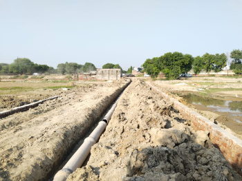  Residential Plot for Sale in Jaganpur Doab, Gautam Buddha Nagar