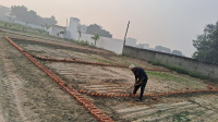  Residential Plot for Sale in Yamuna Expressway, Greater Noida